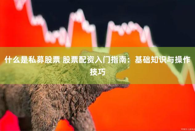 什么是私募股票 股票配资入门指南：基础知识与操作技巧